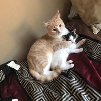 NWR:  Show me your fur babies!