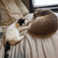 NWR: Shameless pet post!