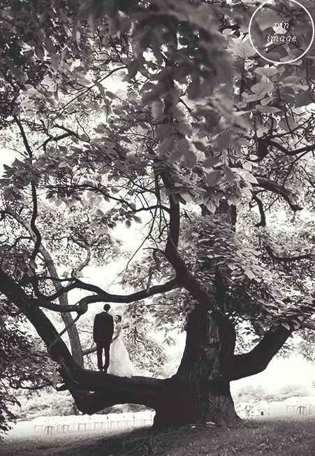 Is this venue too expensive?