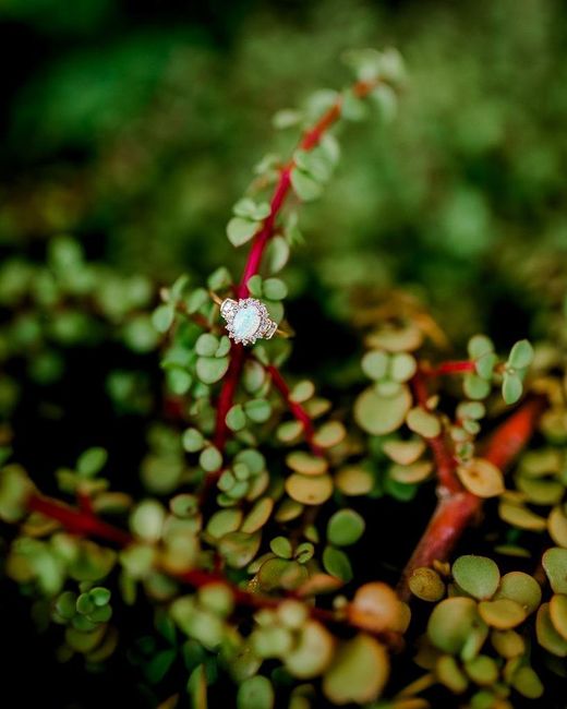 2019 Brides, Let's See Those E-rings 17