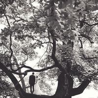 Is this venue too expensive?