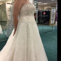 Show me you Davids Bridal Dress - 1