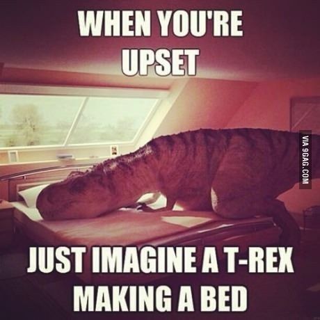 I'm having an EXCEPTIONALLY crappy day, so let's do some memes?!