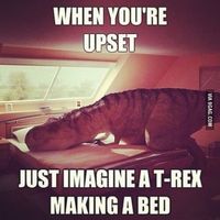 I'm having an EXCEPTIONALLY crappy day, so let's do some memes?!