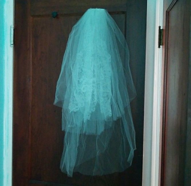Veil help?