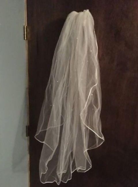 Veil help?