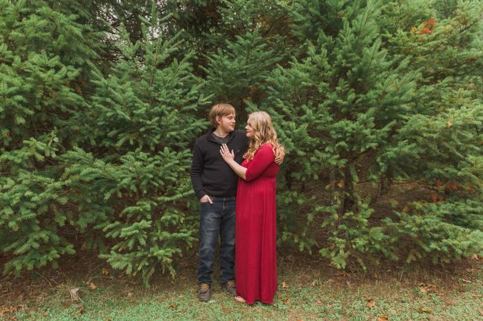 Engagement pictures are here!