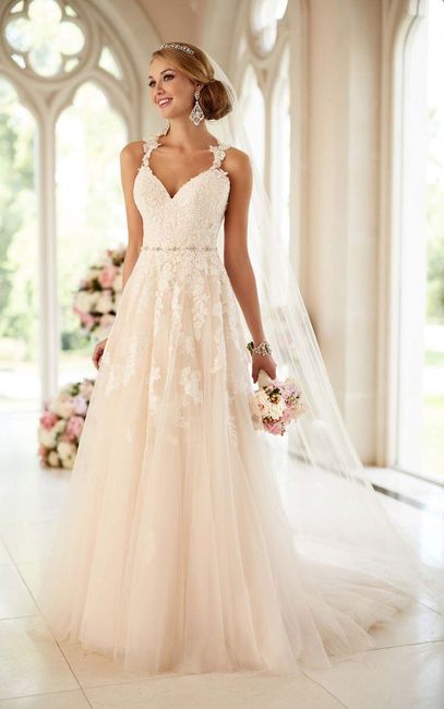  The Dream Dress? - 1