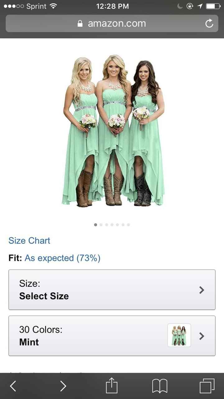 Bridesmaid dresses advice have of you order them off amazon