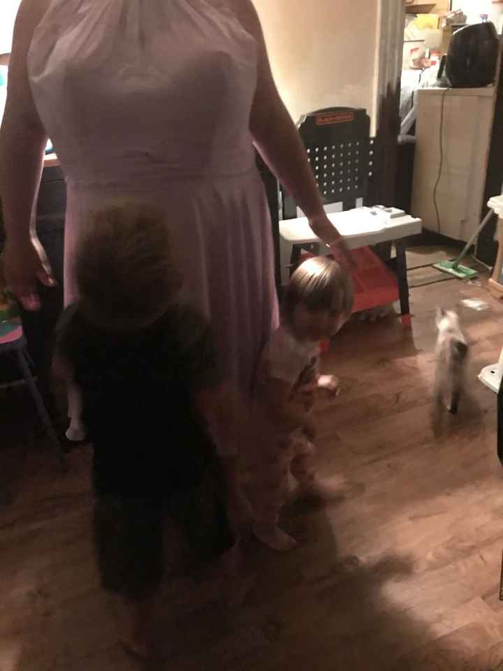 Bridesmaid dresses have arrived - 2