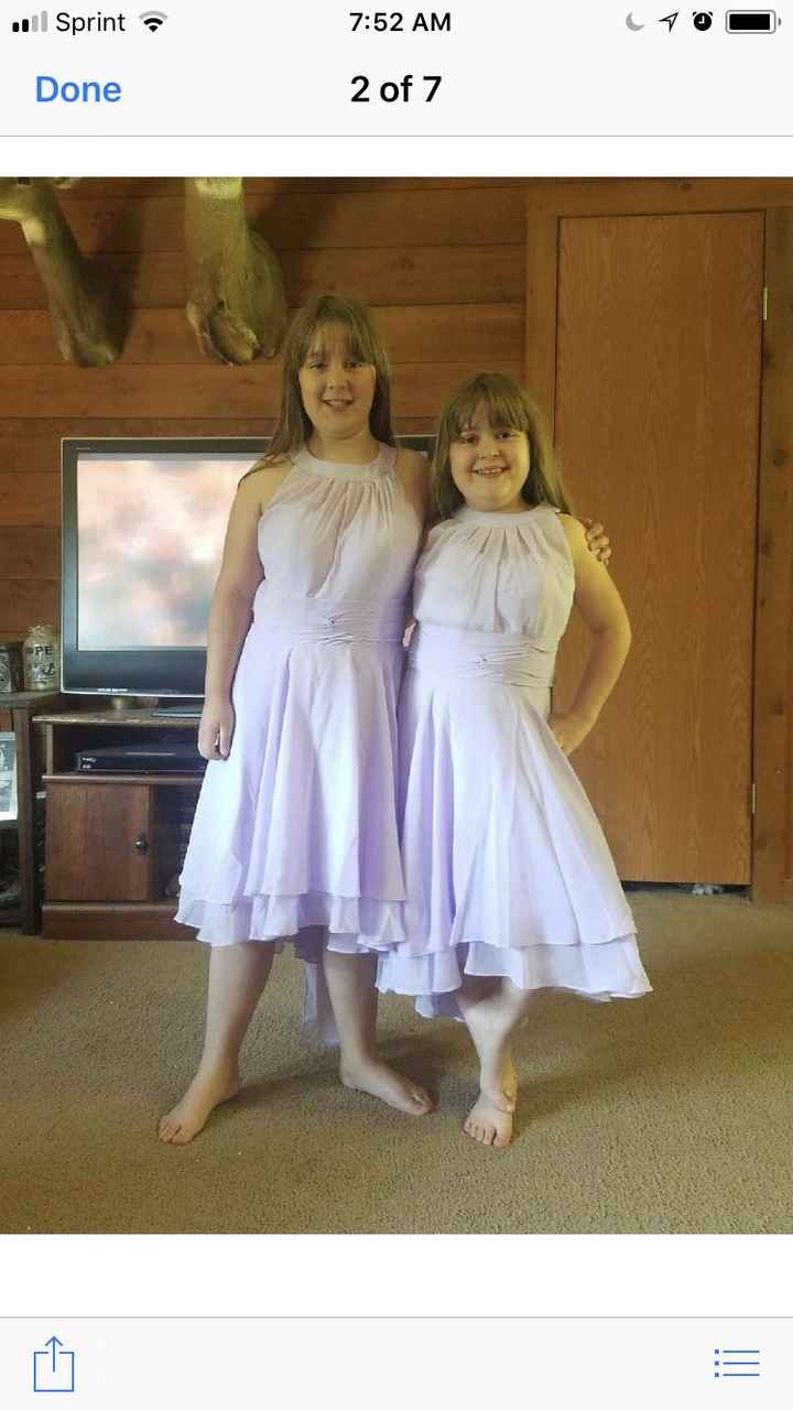 Bridesmaid dresses have arrived - 1