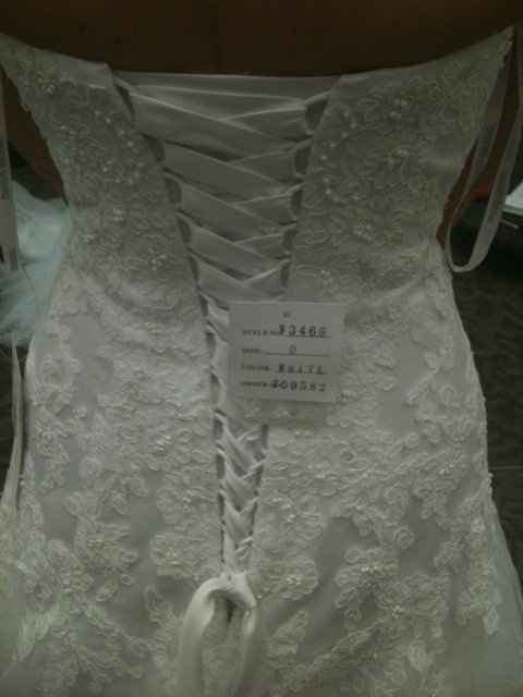 First Fitting (pics)