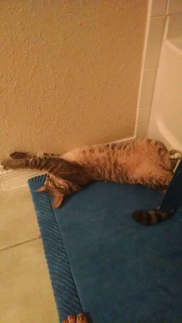 It's Fursday! Share the love!