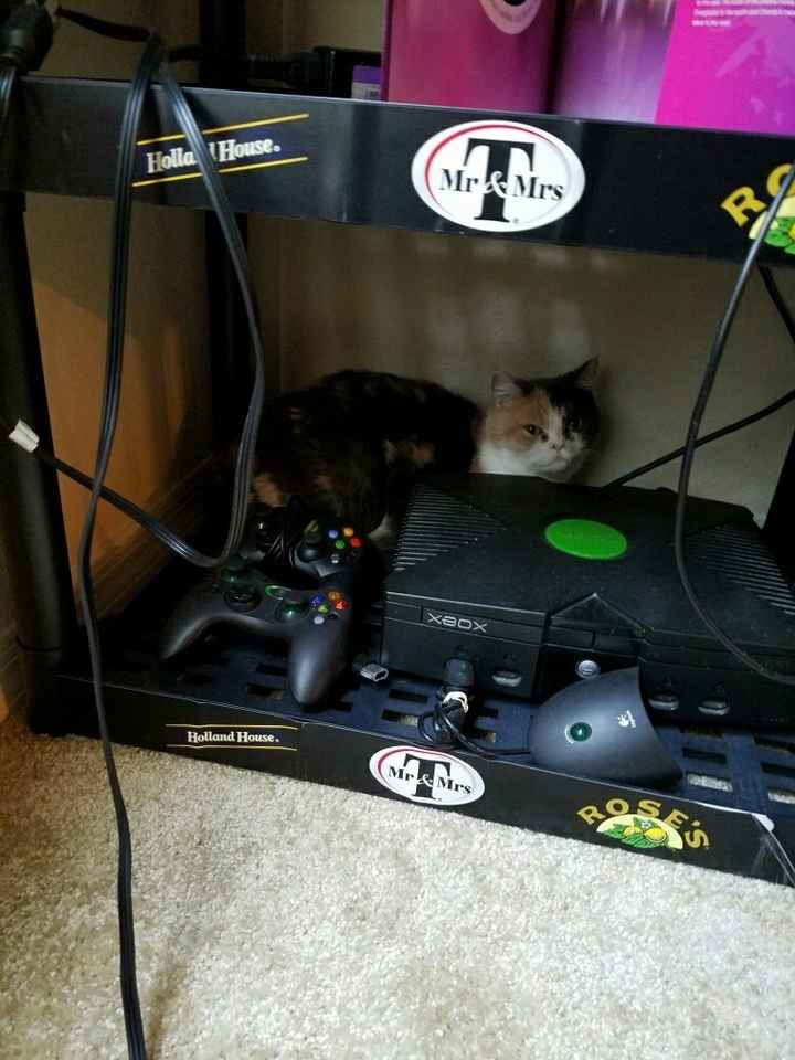 NWR Fursday Thursday!