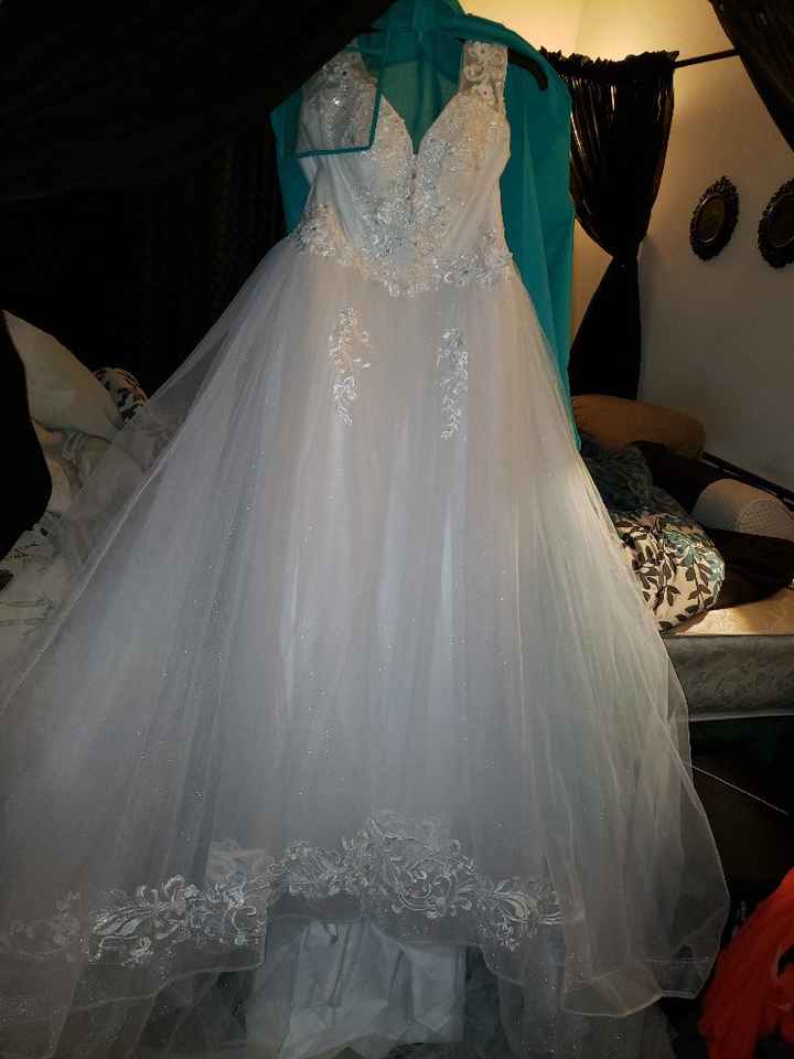 I’m wanting to add glitter tulle will i ruin the dress ? - 1