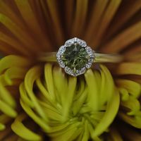 Show me the Ring!💍 - 1