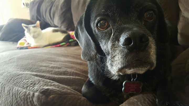 Technically I'm a mom too! Lol