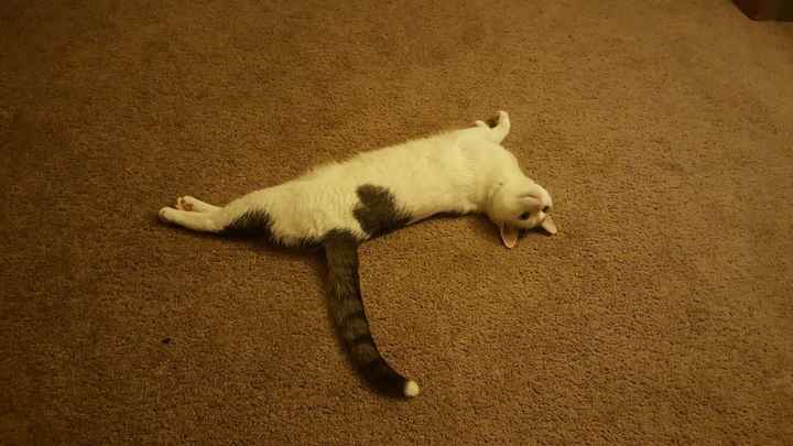 Technically I'm a mom too! Lol