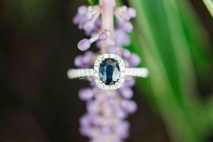 BAM - professional pictures :)