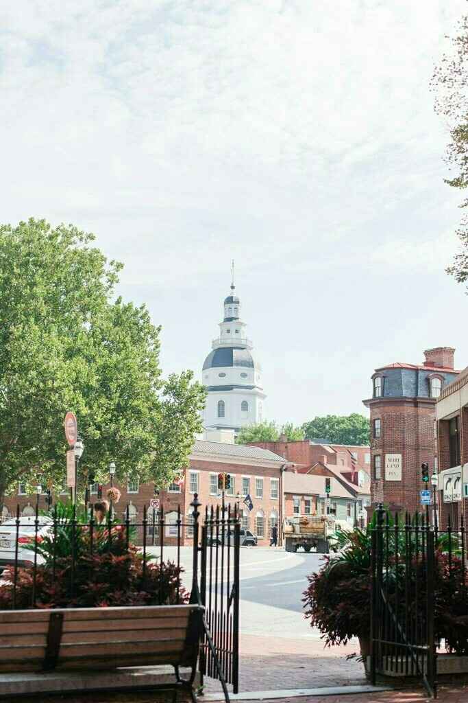 BAM - professional pictures :)