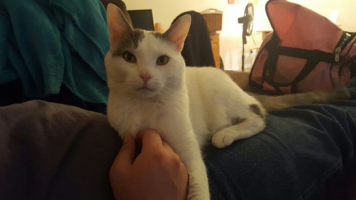 NWR:  Furbaby!