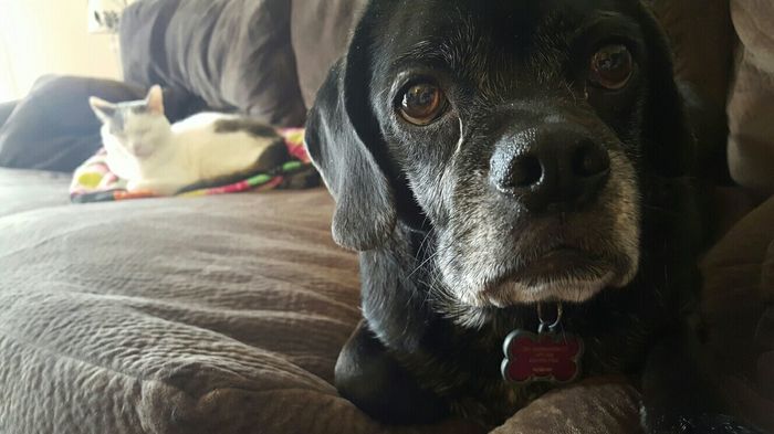 Technically I'm a mom too! Lol