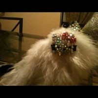 I wish people would post more pictures of their DIY and Weddings