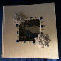 Remade phot album and tree