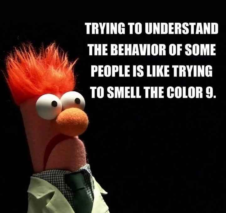 Tickled Tuesday!
