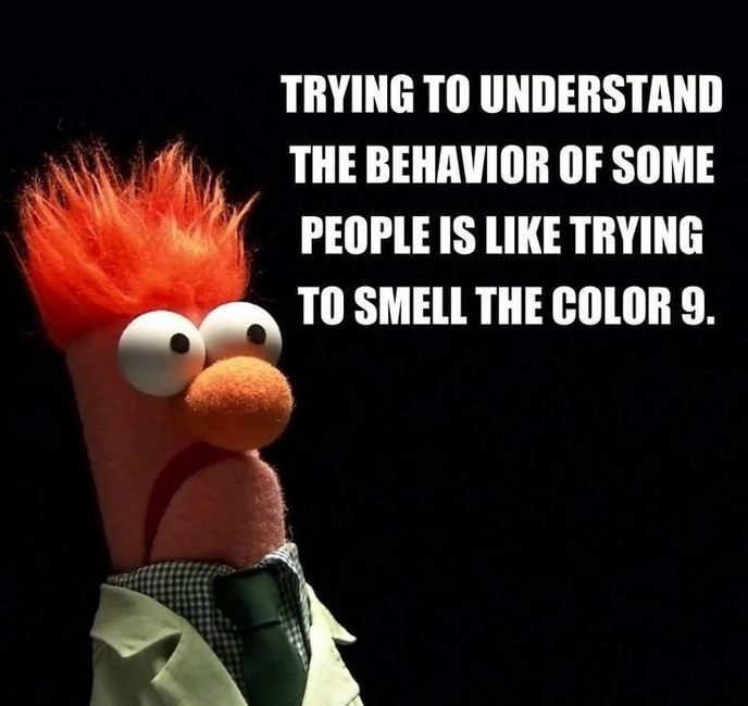Tickled Tuesday!