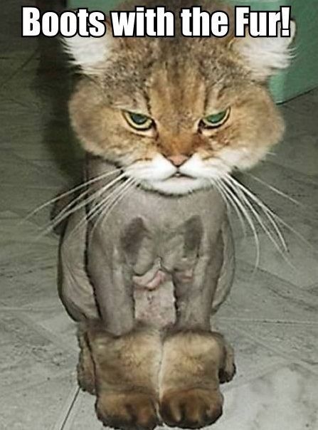 Tickled Tuesday!