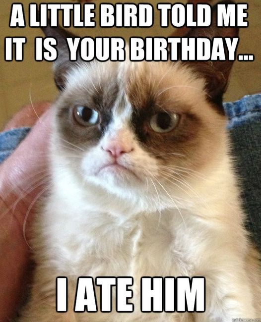 So, it's VM's Birthday...