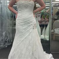 What do you think about these dresses?