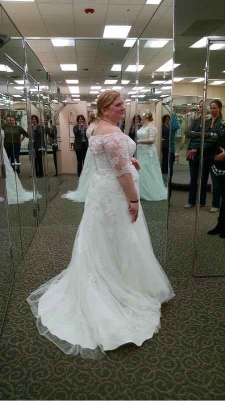 I found the gown!!