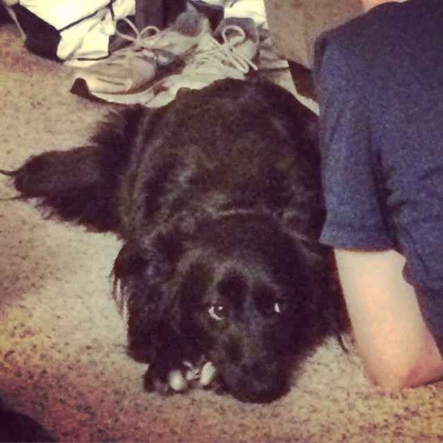 NWR: Show me your pups!