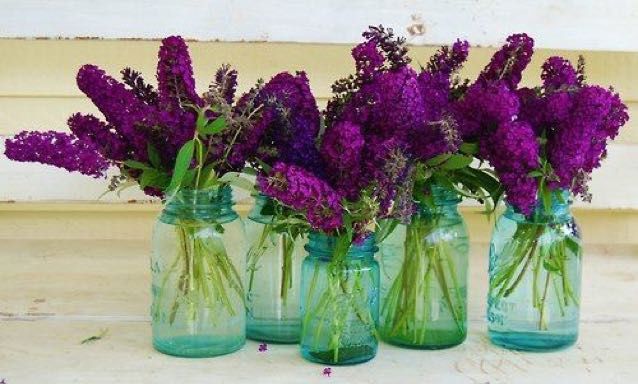 Mason Jar Favors 7
