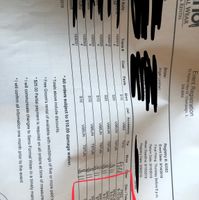 Groom & Groomsmen - 1