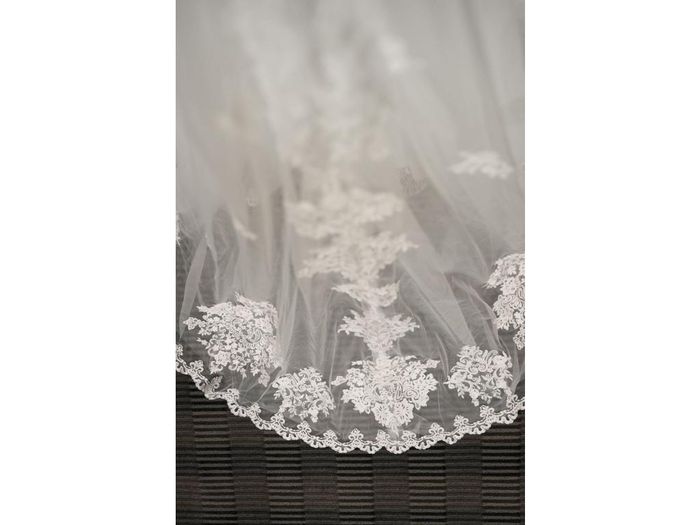 Lace veil matching lace on dress? - 1