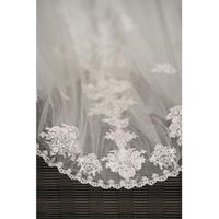 Lace veil matching lace on dress? - 1