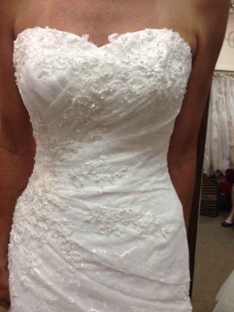 First Dress Fitting PICS!!!