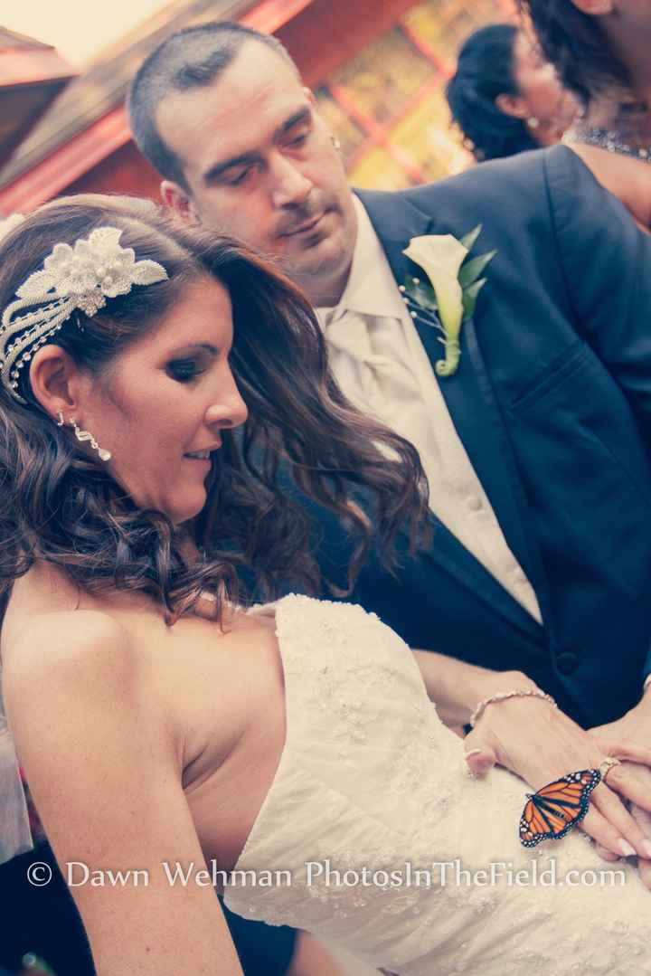 Pro Pics are in and Back from Honeymoon PIC HEAVY