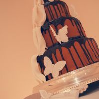 Pro Pics are in and Back from Honeymoon PIC HEAVY