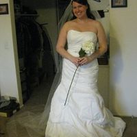 What style veil with your dress? pics if you have em please!