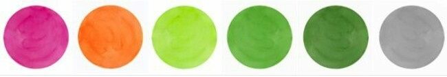 What are your wedding colors?