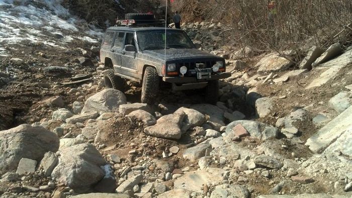 NWR - cat removal help