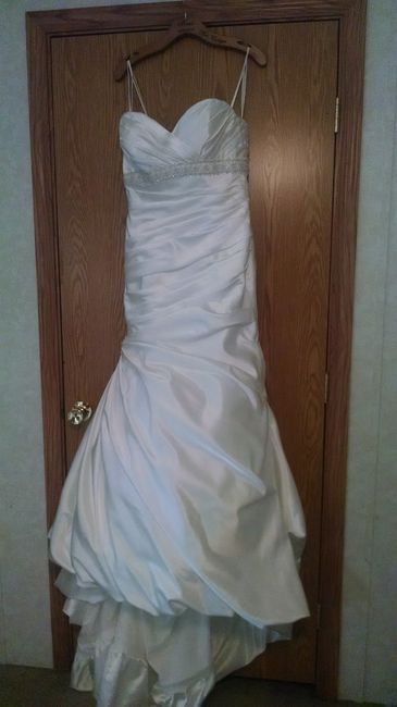 Kinda Back and Married... PIC HEAVY also with Sneak Peek Pro Pics