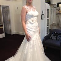 Pronovias Brides - what did you pick from 2014 collections