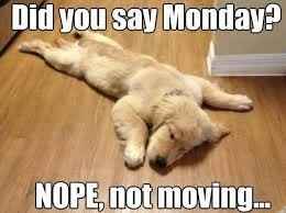 Uhhhh, Where have I been??!!