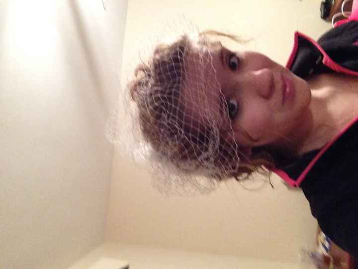 Clearance score! Birdcage veil!