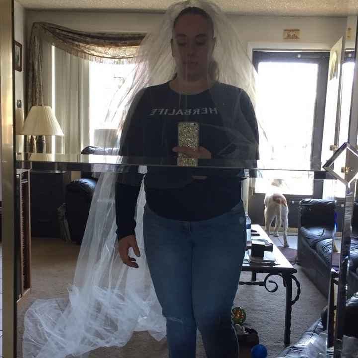 Let's see those veils!